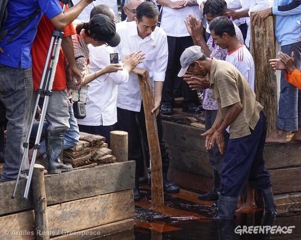 Indonesian President Joko Widodo Visits Sungai Tohor Community in Riau© Ardiles Rante/Greenpeace