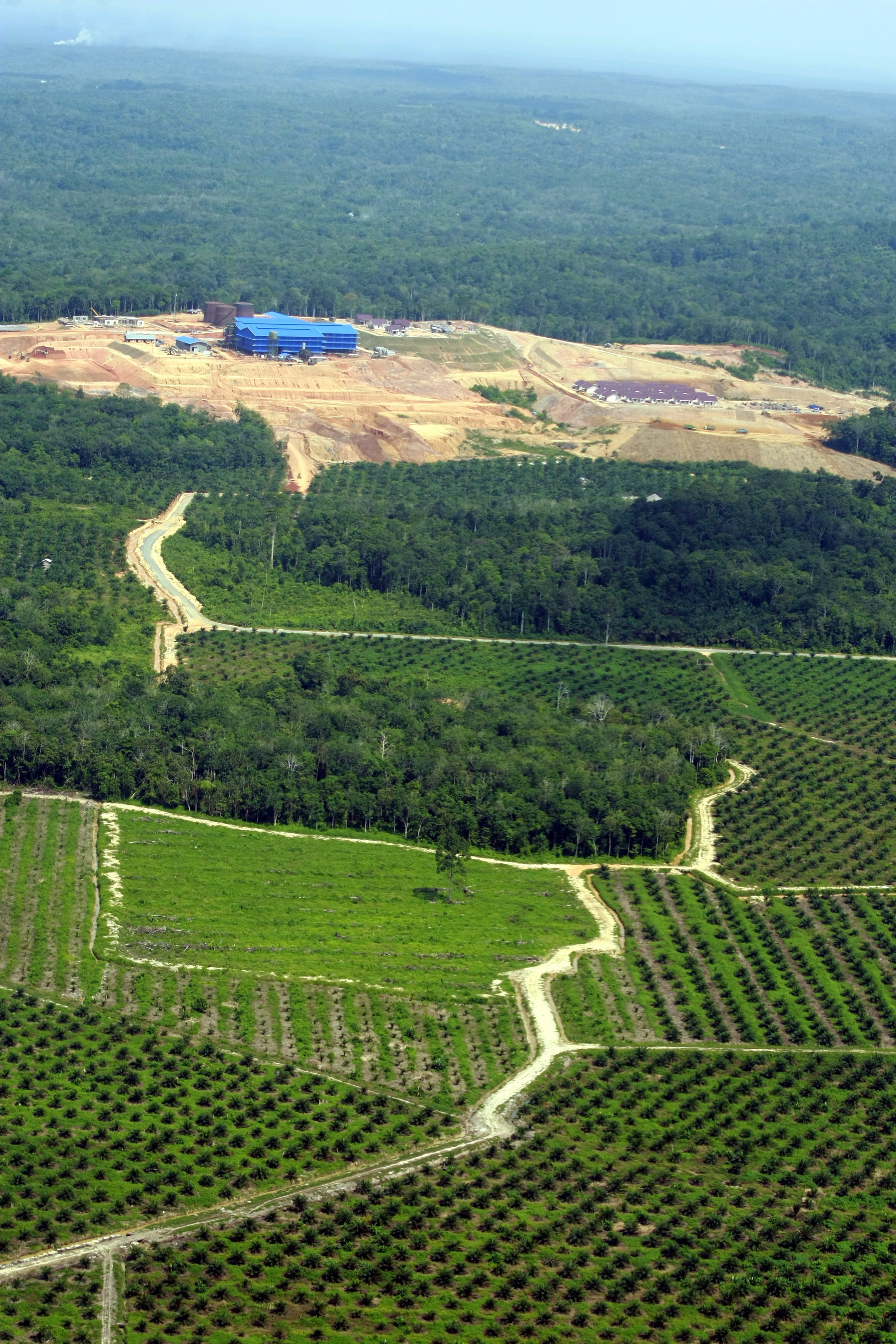 An aerial picture made available on May 10, 2013 shows palm oil plantations in Indragiri Hulu, Riau, Indonesia. (EPA Photo/Bagus Indahono)